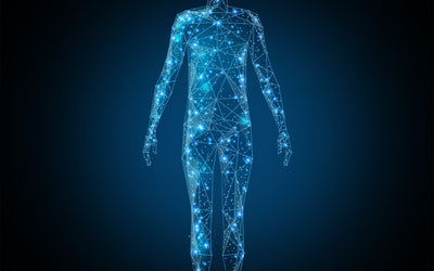 Understanding EMF Protection Technology