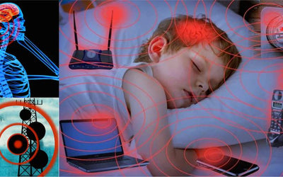 Why Electromagnetic Frequencies (EMFs) Can Disrupt Your Health